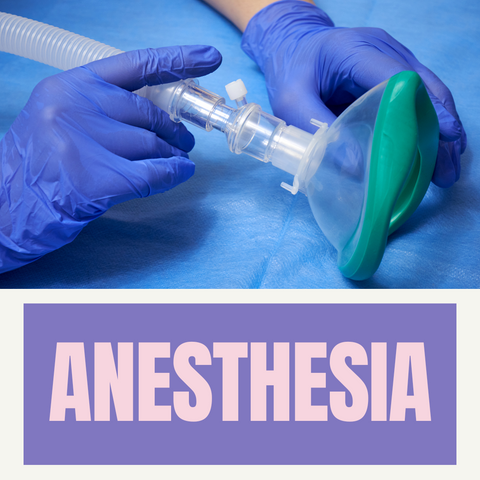 Anesthesia