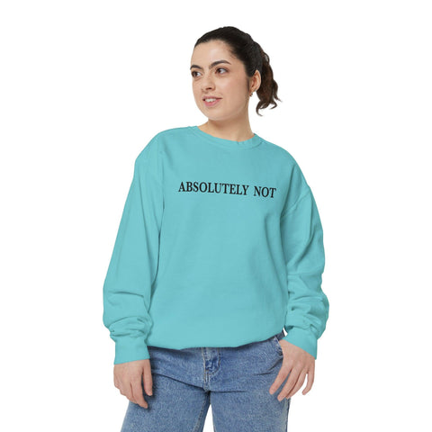 Absolutely Not - Garment-Dyed Sweatshirt