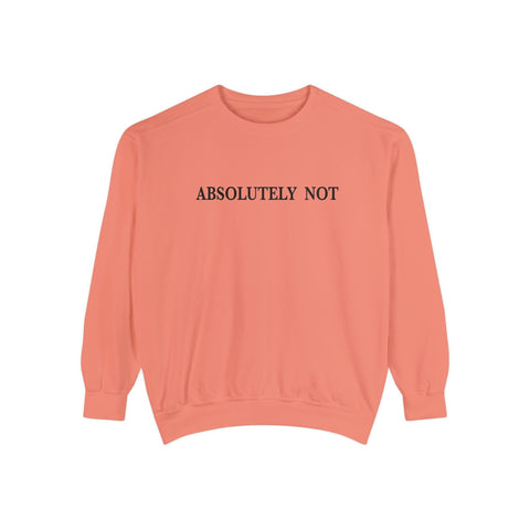 Absolutely Not - Garment-Dyed Sweatshirt