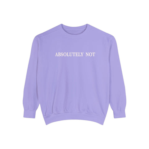 Absolutely Not - Garment-Dyed Sweatshirt