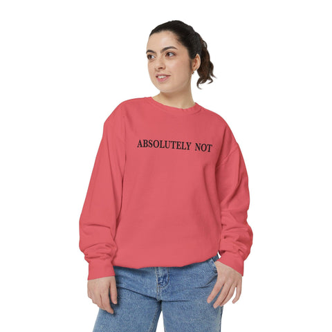 Absolutely Not - Garment-Dyed Sweatshirt