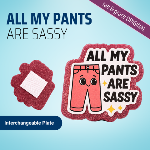 All My Pants Are Sassy - Badge Reel - rae & grace - Interchangeable Plate Only