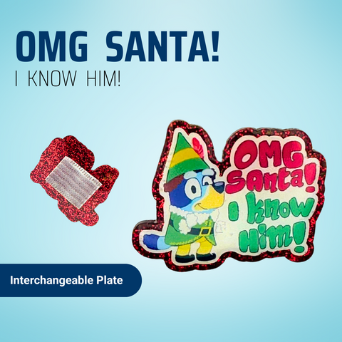 Bluey - OMG Santa!  I Know Him! - Badge Reel