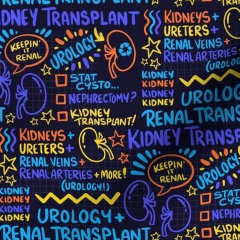 Kidney Transplant Scribble