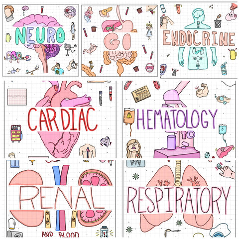 Complete Flash Cards Collection (DIGITAL)