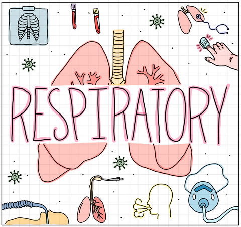 Respiratory Flash Cards (DIGITAL)