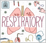 Respiratory Flash Cards (DIGITAL)
