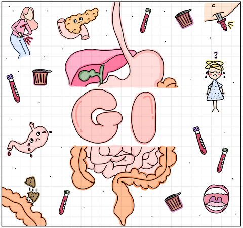 Gastrointestinal Flash Cards (DIGITAL) - rae & grace