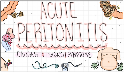 Gastrointestinal Flash Cards (DIGITAL)