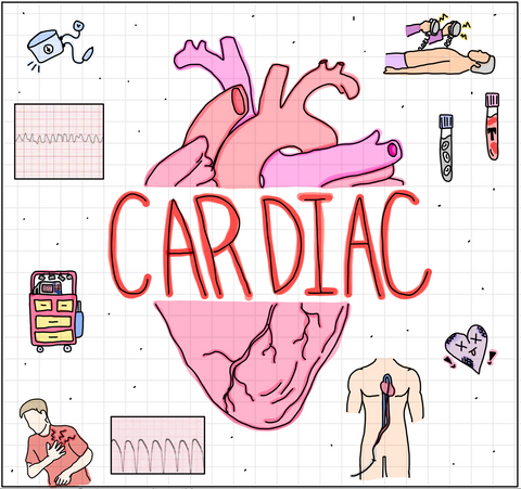 Cardiac Flash Cards (DIGITAL) - rae & grace