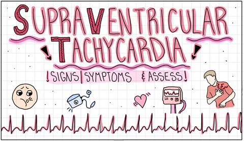 Cardiac Flash Cards (DIGITAL)