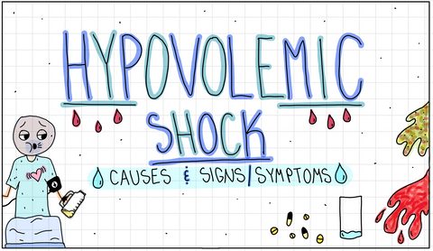 Cardiac Flash Cards (DIGITAL)