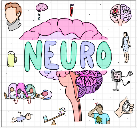 Neuro Flash Cards (DIGITAL) - rae & grace