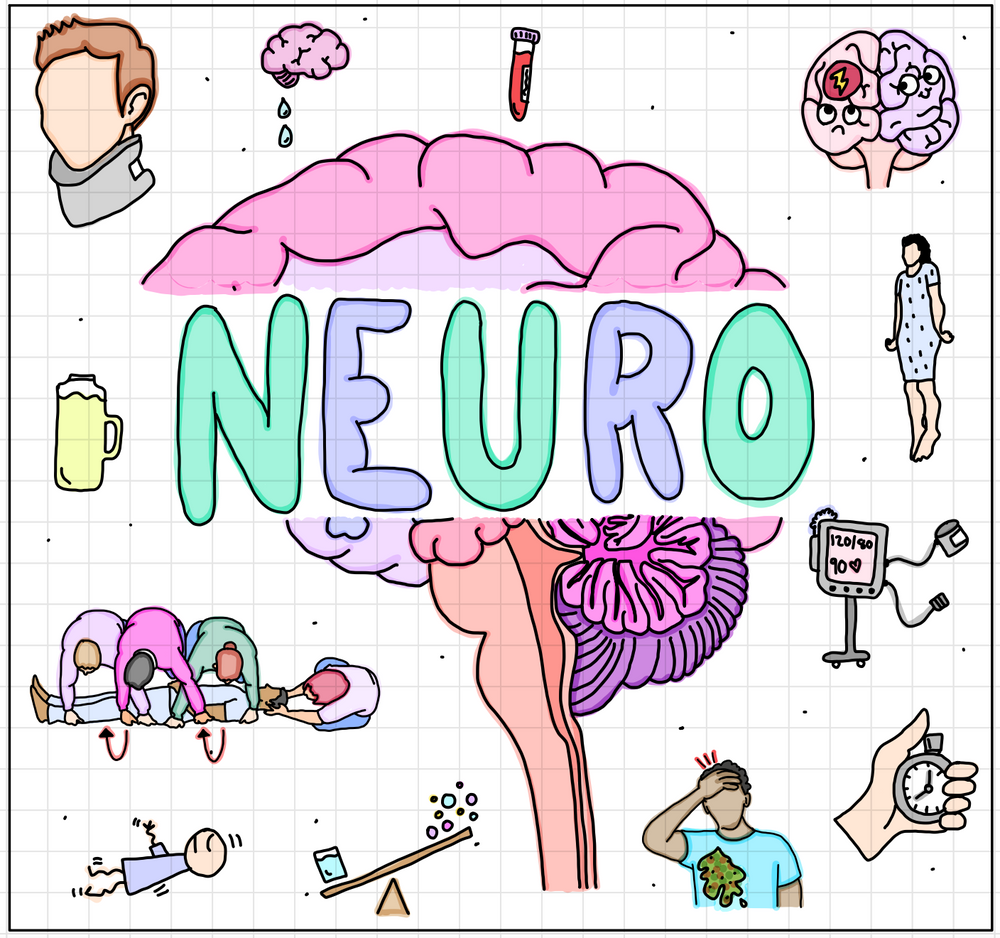 Neuro Flash Cards (DIGITAL)