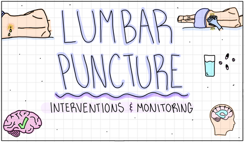 Neuro Flash Cards (DIGITAL)