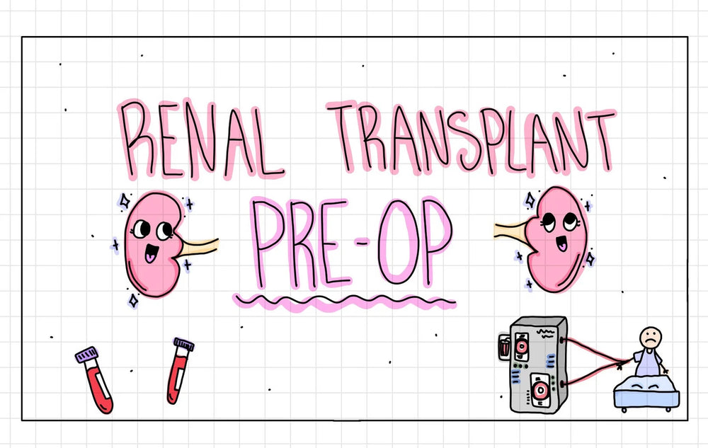 
            
                Load image into Gallery viewer, Renal and Blood Transfusion Flash Cards (Digital)
            
        