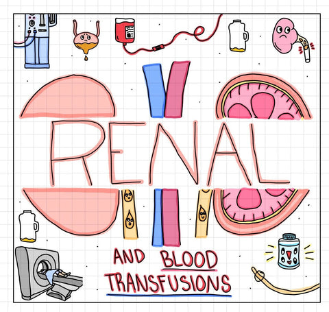 Renal and Blood Transfusion Flash Cards (Digital) - rae & grace