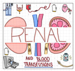 Renal and Blood Transfusion Flash Cards (Digital)