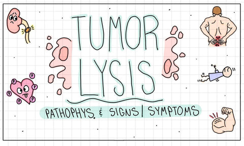 Hematology Flash Cards (Digital)